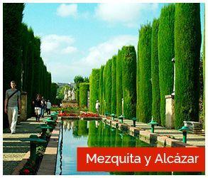 categoria mezquita alcazar
