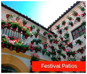 categoria patios