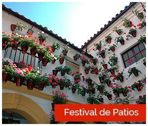 categoria patios