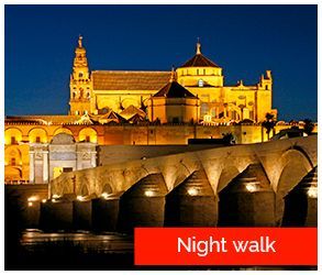categoria paseo nocturno